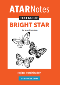 Bight Star Text Guide Cover